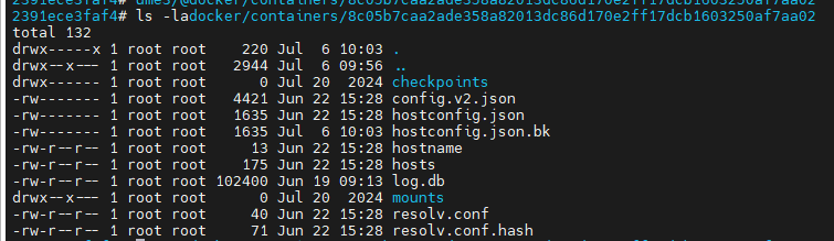 image-20250706100710873